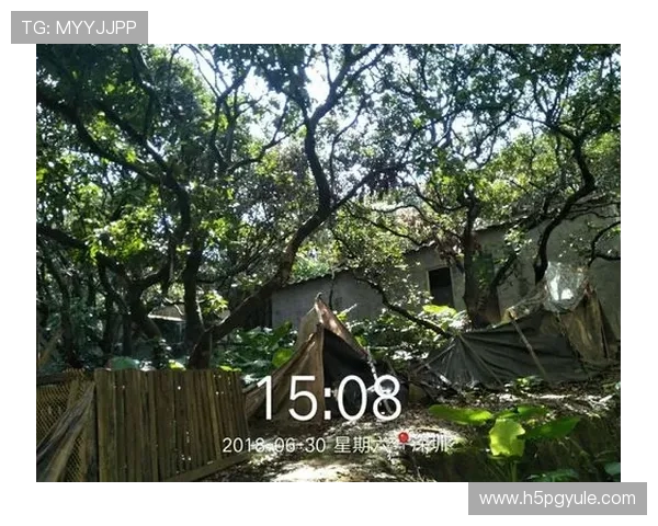 杏悦娱乐携手多位知名明星打造全新娱乐生态引领行业发展新趋势